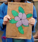 contemporary art center virginia hand made book nature field guide