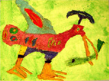 mola bird